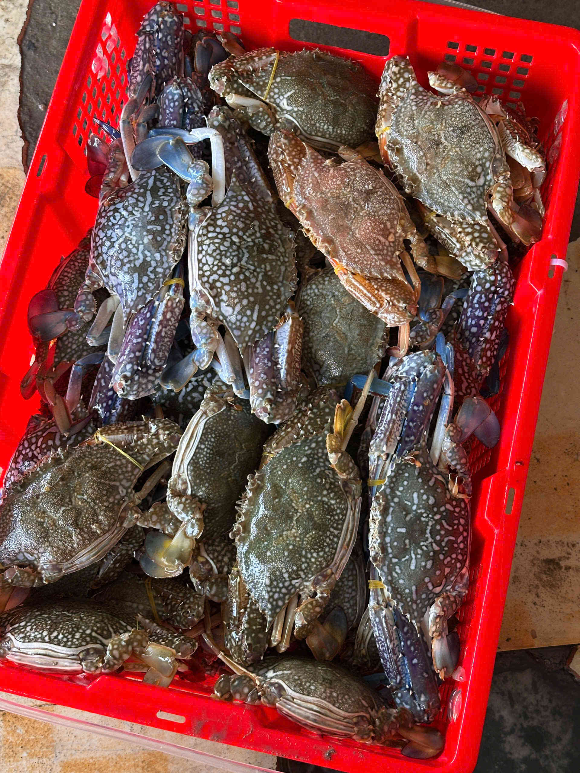 Ghẹ xanh hải sản Đăng Quân