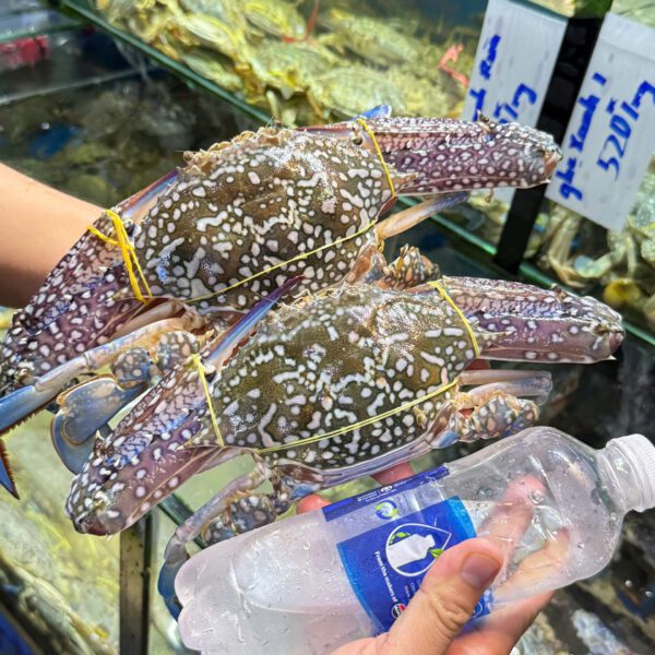 Ghẹ xanh cỡ đại tươi Đăng Quân