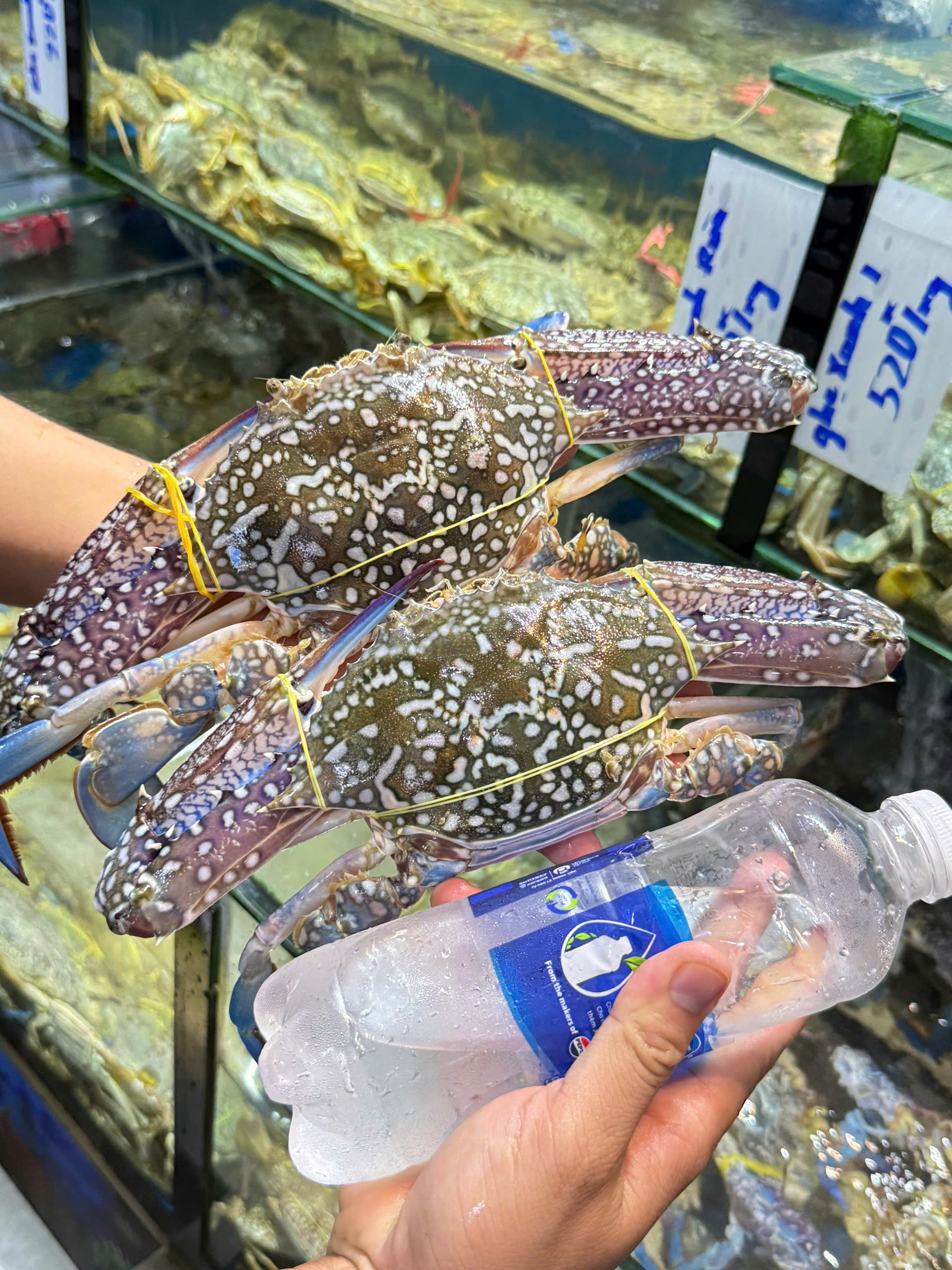 Ghẹ xanh cỡ đại tươi Đăng Quân