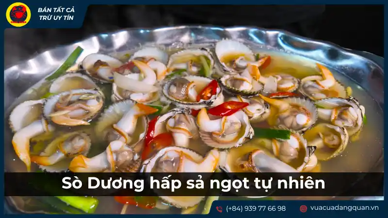 Sò dương hấp sả ngọt tự nhiên