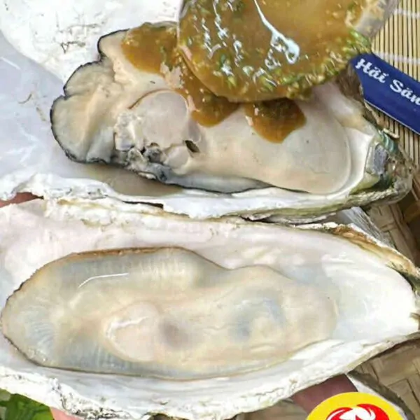 Hàu