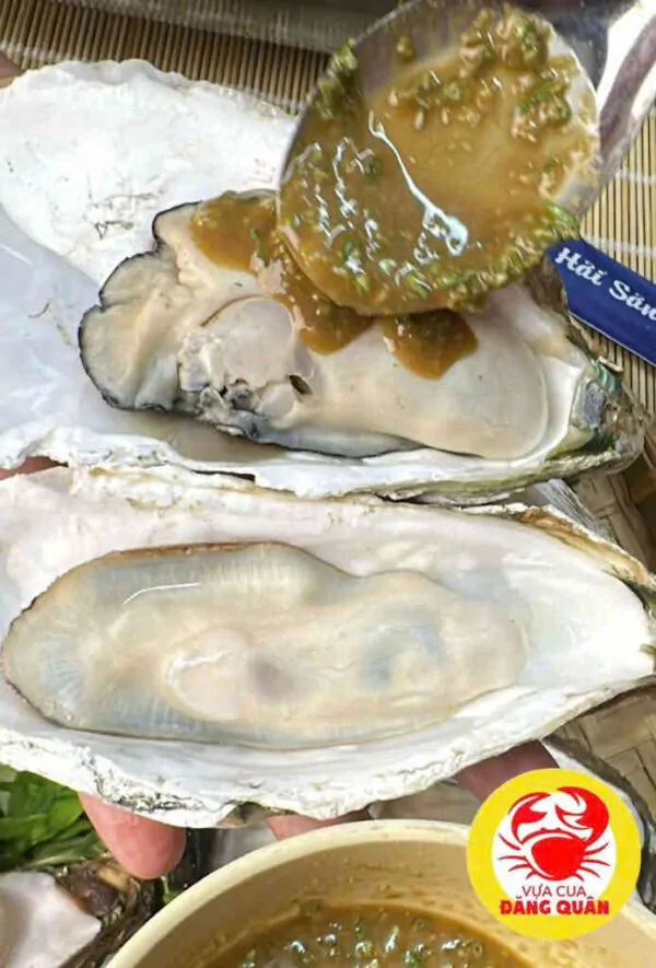 Hàu