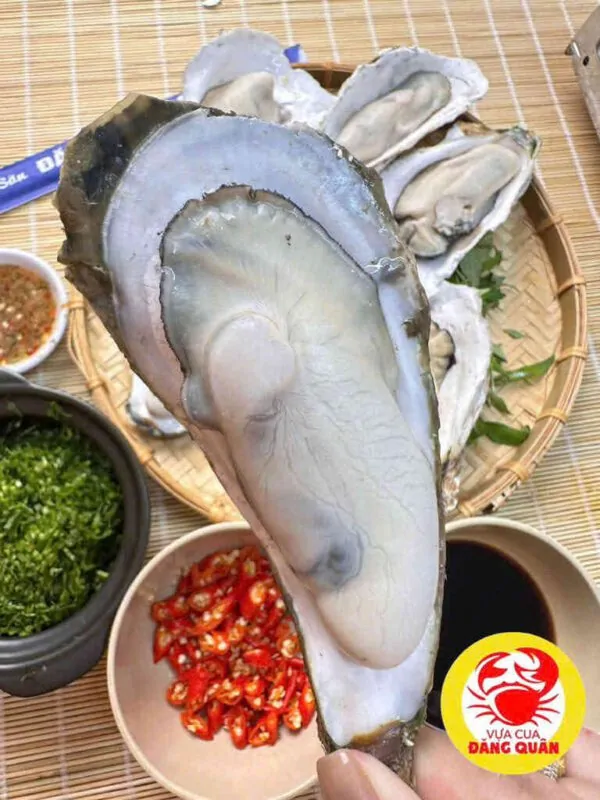 Hàu tươi