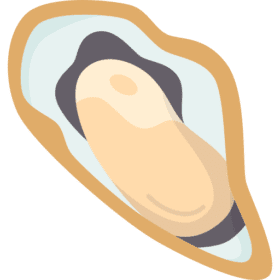 Hàu