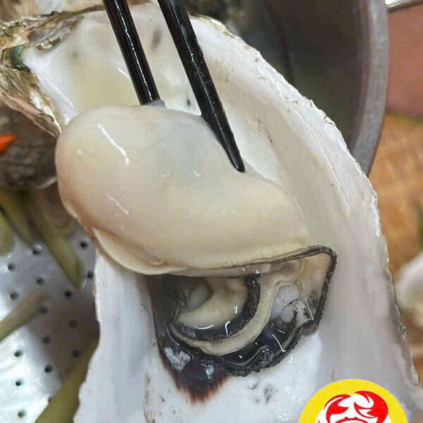 Hàu tươi ngon
