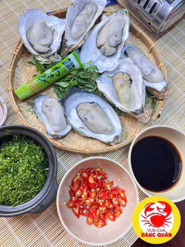 Hàu đại dương tươi