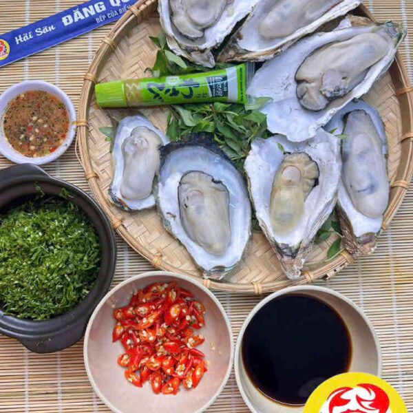 Hàu đại dương
