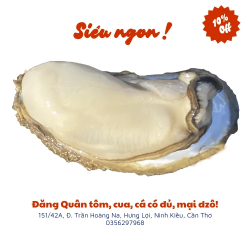 Hàu đại dương