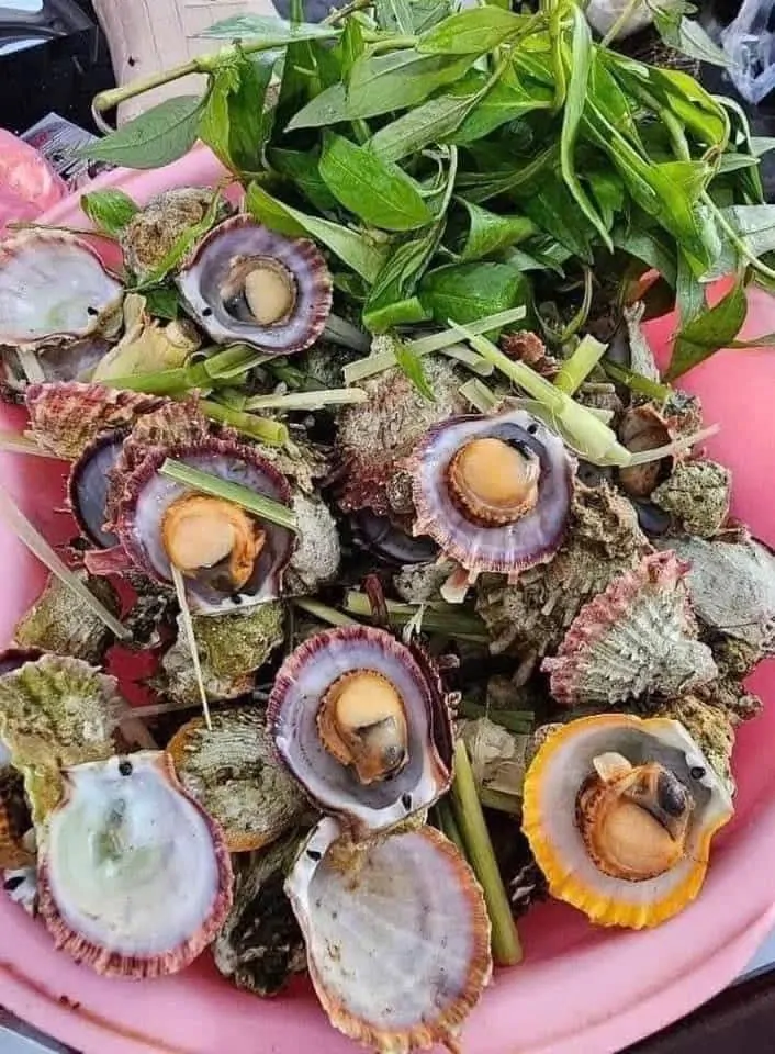 Hàu hương luộc