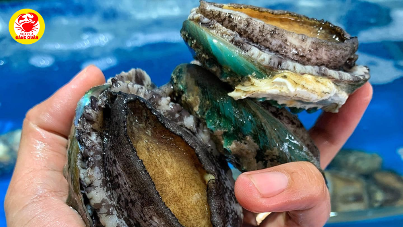 Hỗ trợ thị lực và làm đẹp da Hỗ trợ thị lực và làm đẹp da