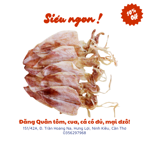 Khô mực