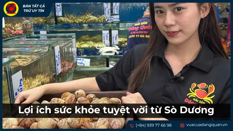 Lợi ích sức khỏe của sò dương