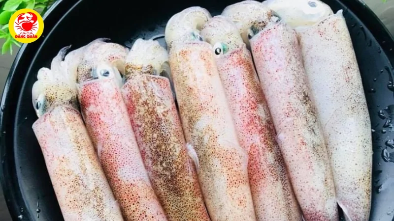 Lợi ích sức khỏe mà mực ống mang lại