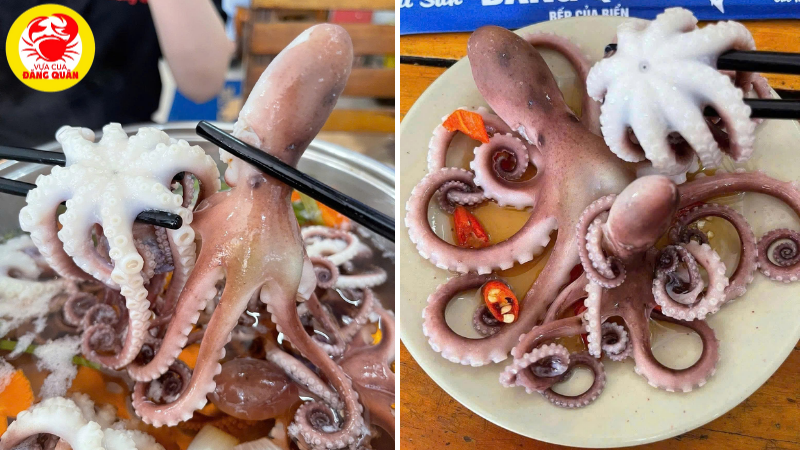 Mẹo luộc bạch tuộc ngon