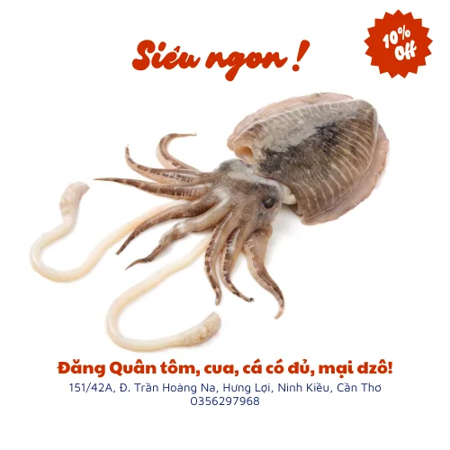 Mực nang tươi sống