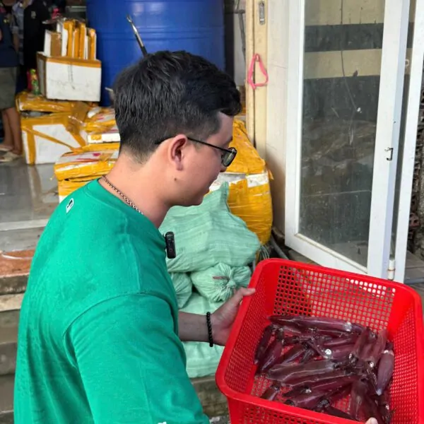 Mực ống tươi sống