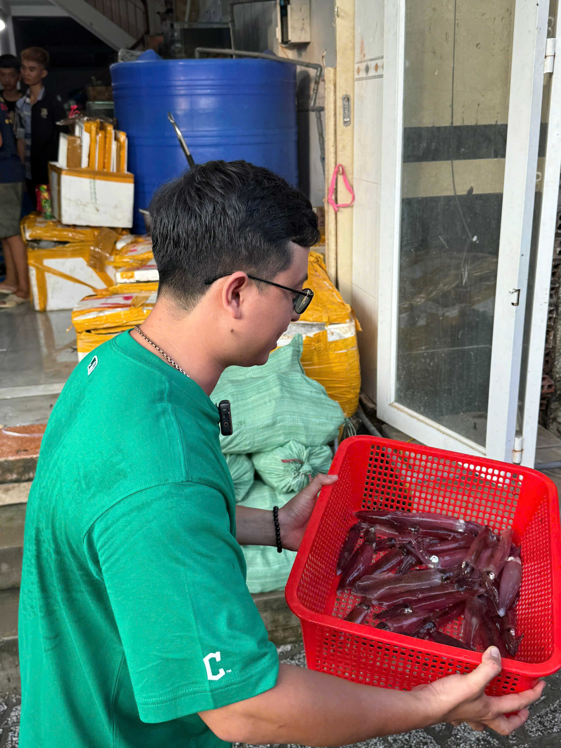 Mực ống tươi sống