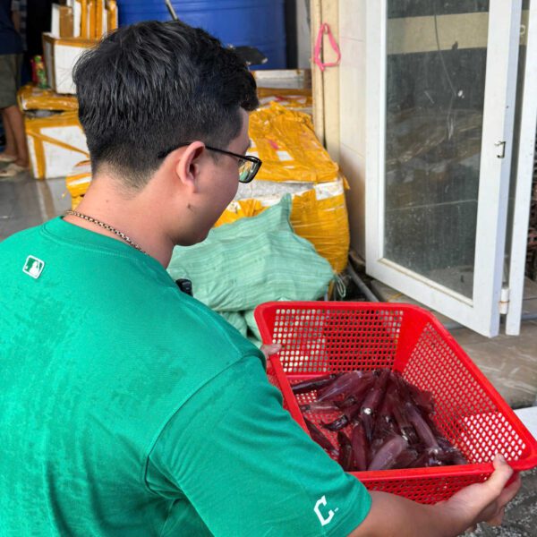 Mực ống tươi sống ngon