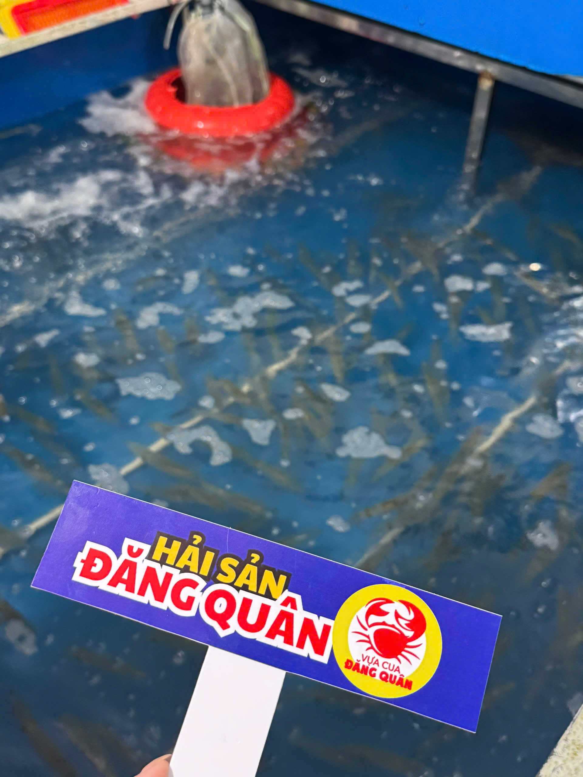 Hải sản mực ống tươi