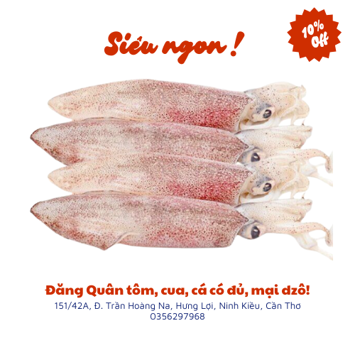Mực ống mi nơ