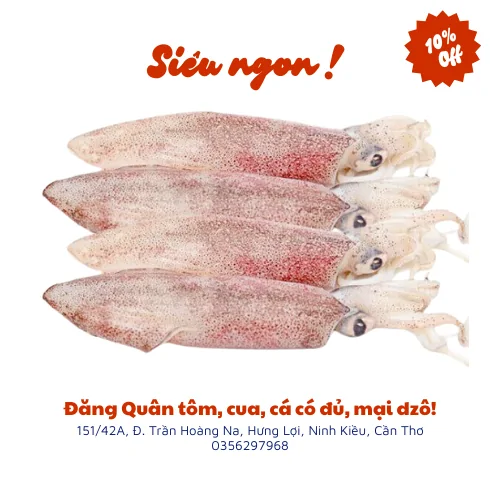 Mực ống mi nơ