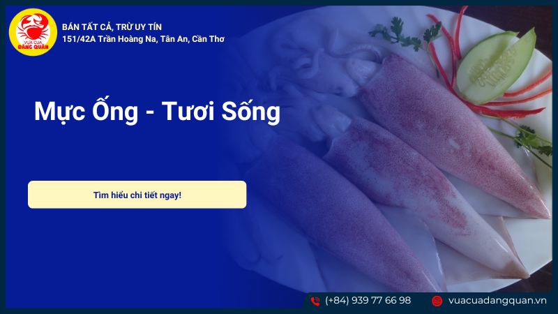 Mực ống sản phẩm Mực ống sản phẩm