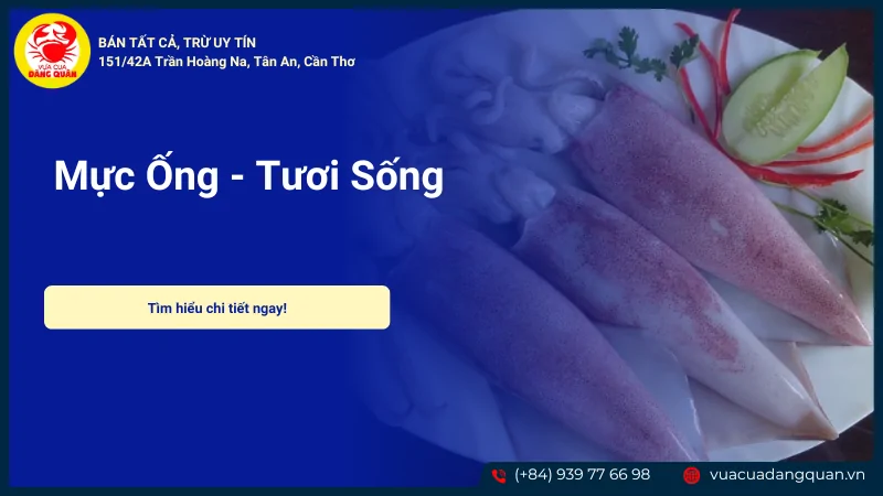 Mực ống sản phẩm