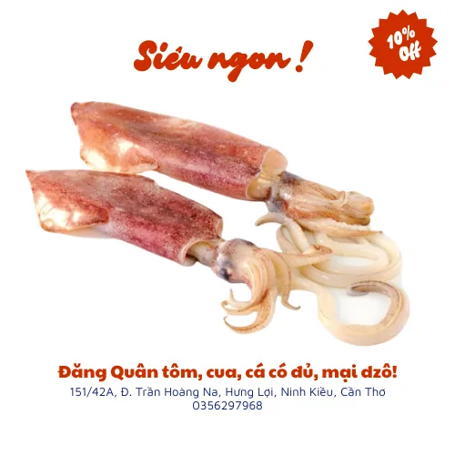 Mực ống tươi sống chất lượng
