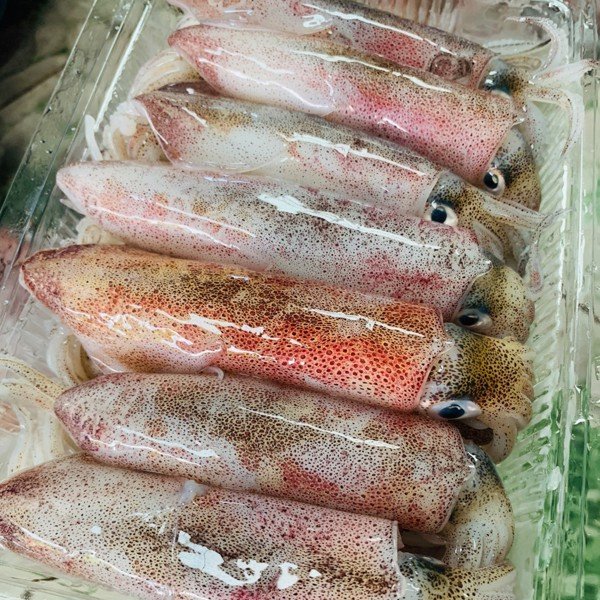 Mực trứng Mực trứng