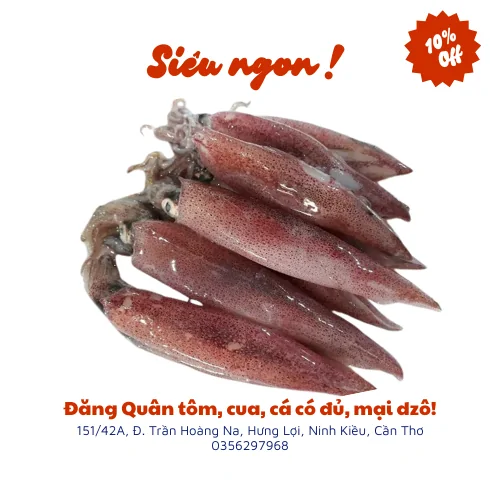 Mực trứng