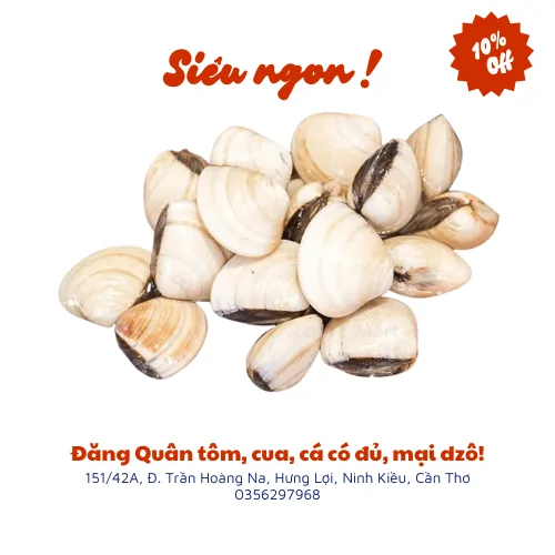 Nghêu