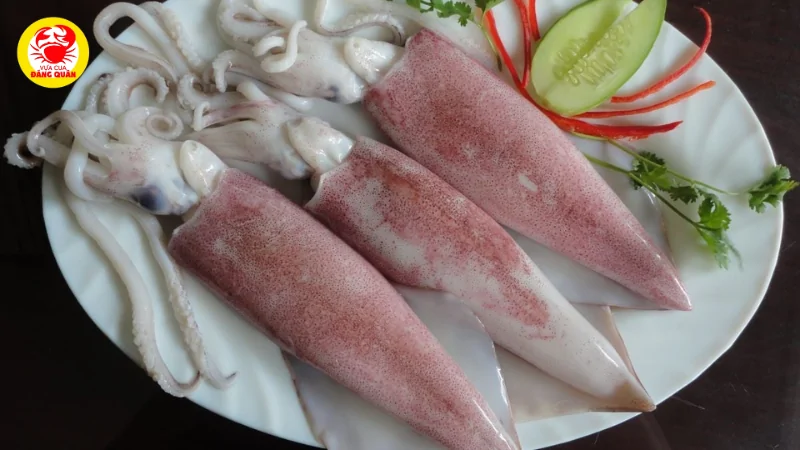 Nguồn protein và khoáng chất dồi dào