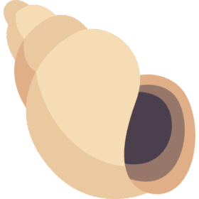 Ốc