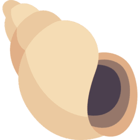 Ốc