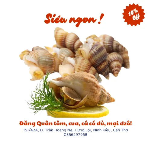 Ốc bulot