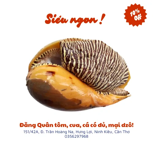 Ốc giác vàng