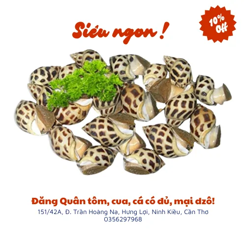 Ốc hương