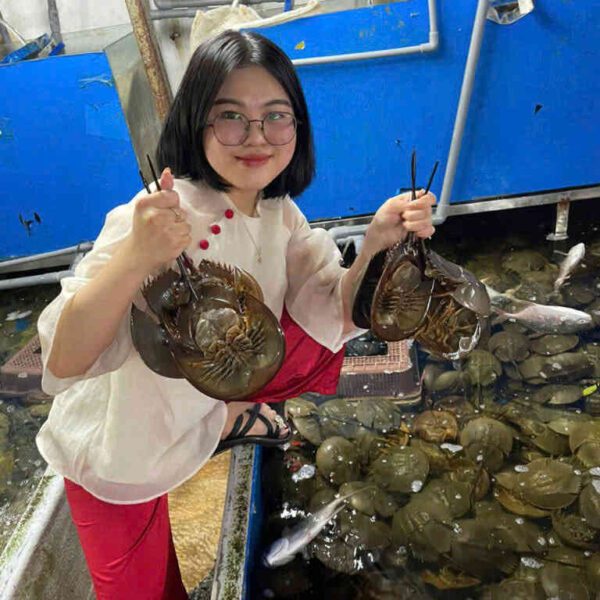 hải sản sam trứng tươi ngon Đăng Quân Cần Thơ