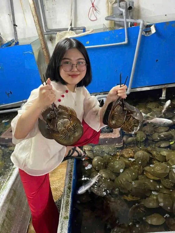 hải sản sam trứng tươi ngon Đăng Quân Cần Thơ