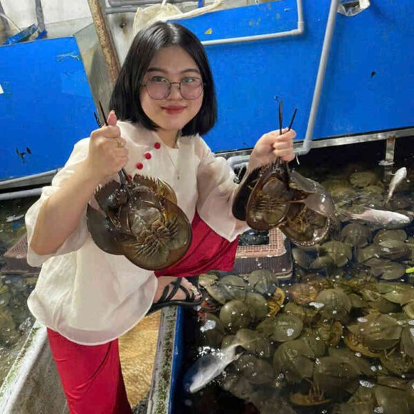 hải sản sam trứng tươi ngon Đăng Quân