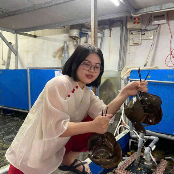 hải sản sam trứng tươi Đăng Quân