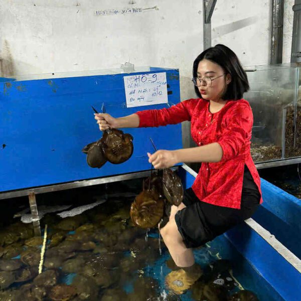 hải sản sam trứng Đăng Quân