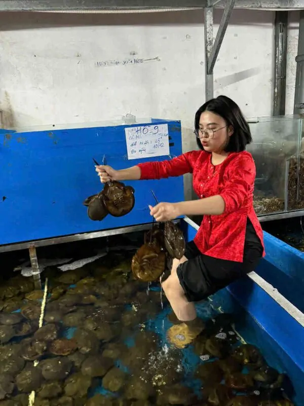hải sản sam trứng Đăng Quân