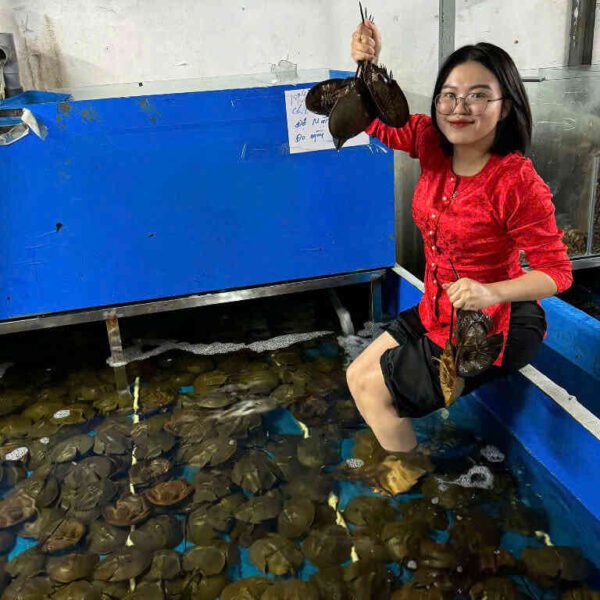 hải sản sam tươi Đăng Quân