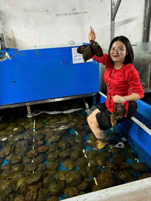 hải sản sam tươi Đăng Quân