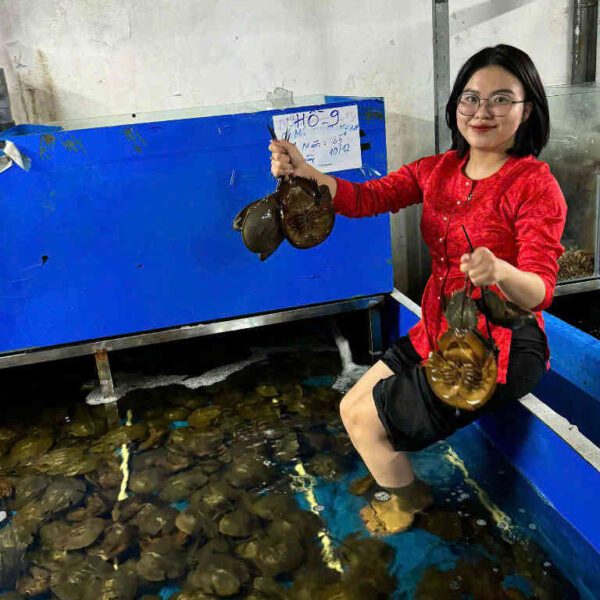 sam trứng tươi ngon Đăng Quân