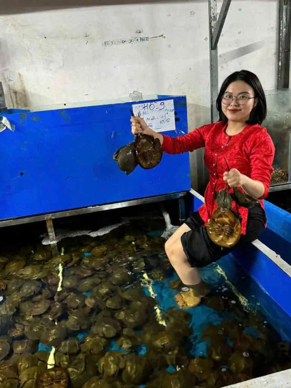 sam trứng tươi ngon Đăng Quân