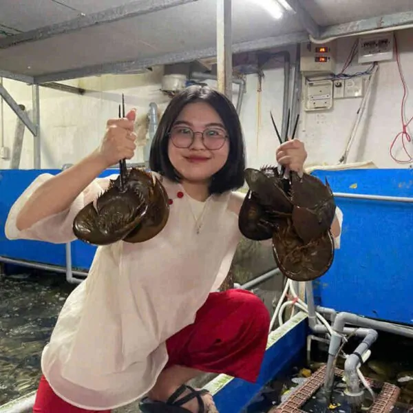 hải sản sam trứng