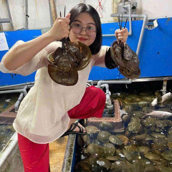 hải sản sam trứng tươi