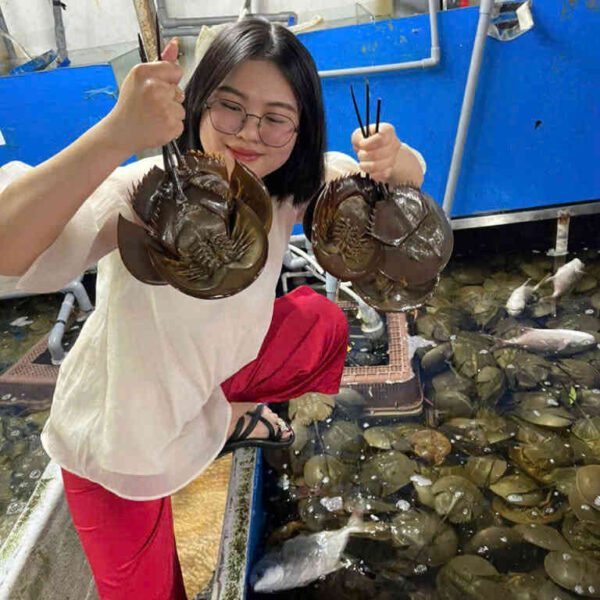 hải sản sam trứng tươi ngon